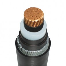 Cáp ngầm trung thế 1 lõi ruột dẫn, cách điện XLPE